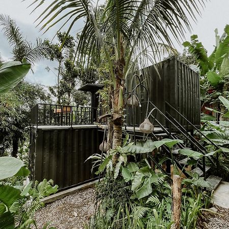 Daydream Lodge Tampaksiring Exteriör bild