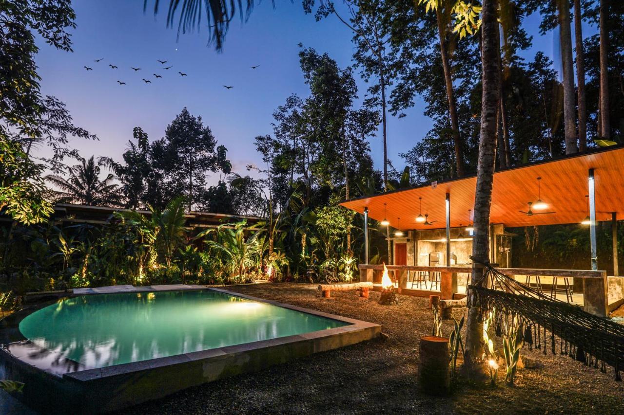 Daydream Lodge Tampaksiring Exteriör bild