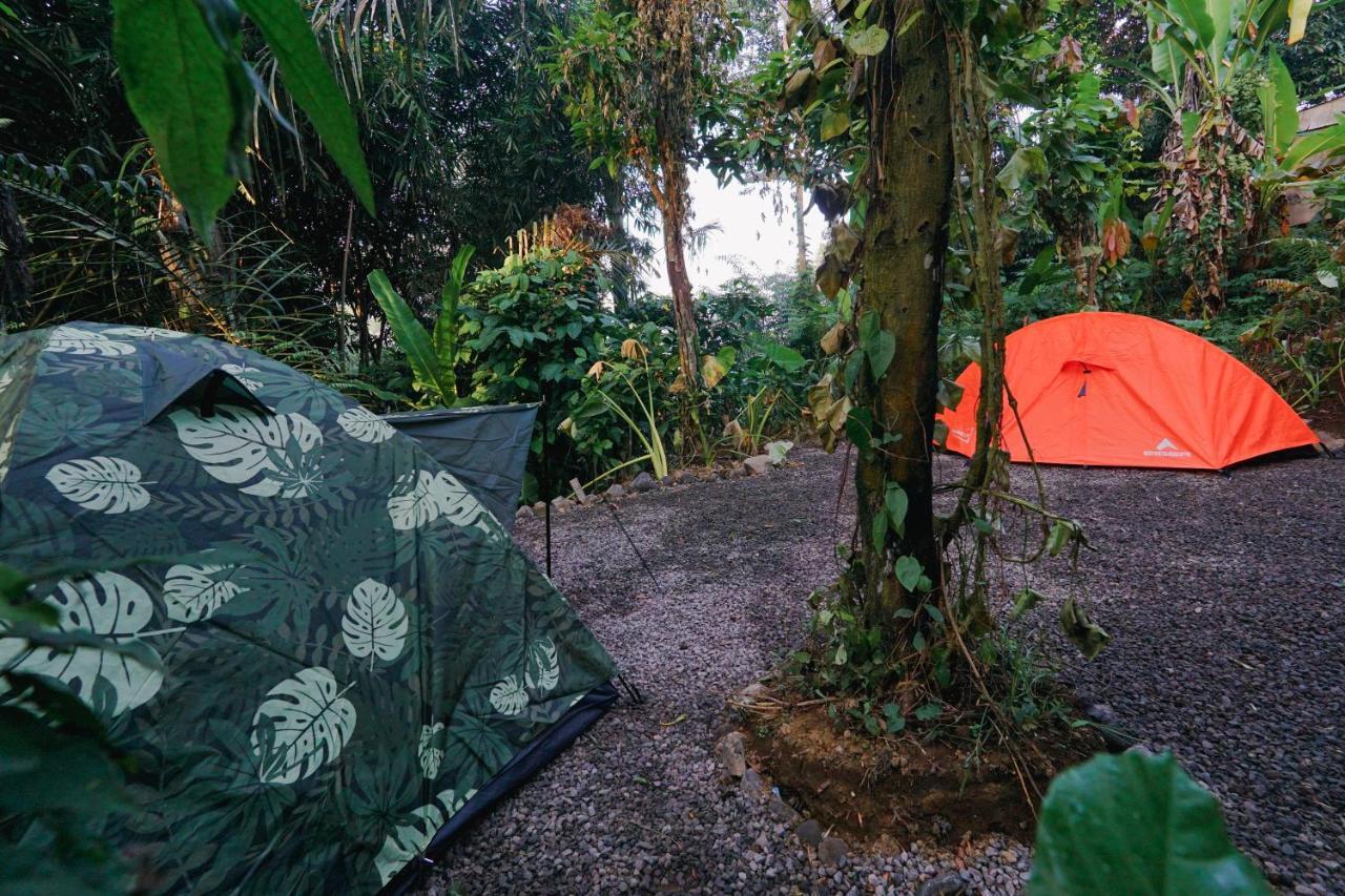 Daydream Lodge Tampaksiring Exteriör bild