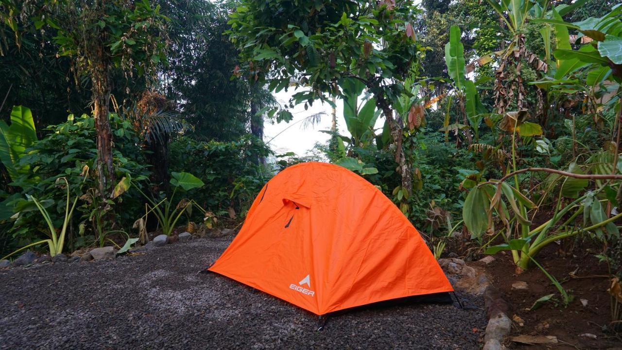 Daydream Lodge Tampaksiring Exteriör bild