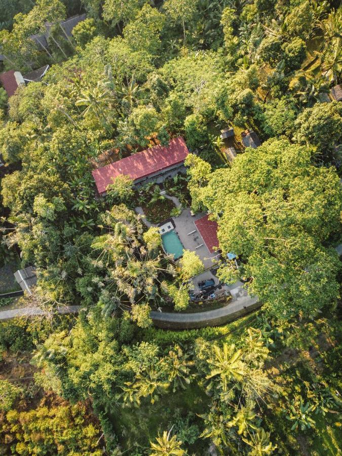 Daydream Lodge Tampaksiring Exteriör bild