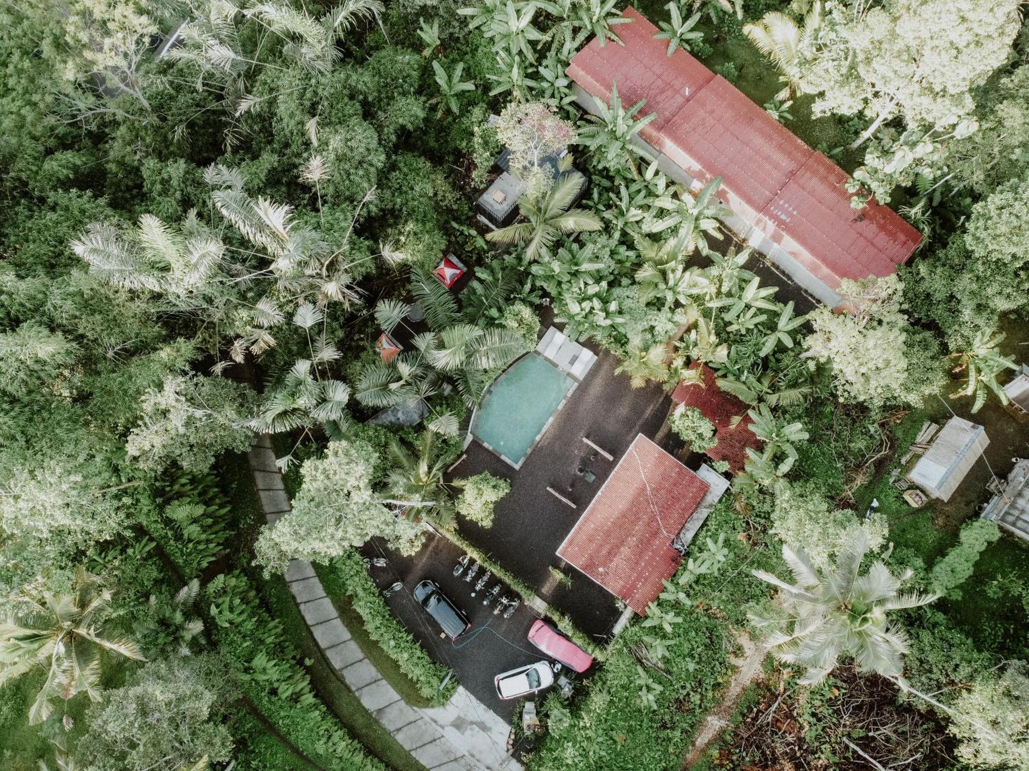 Daydream Lodge Tampaksiring Exteriör bild