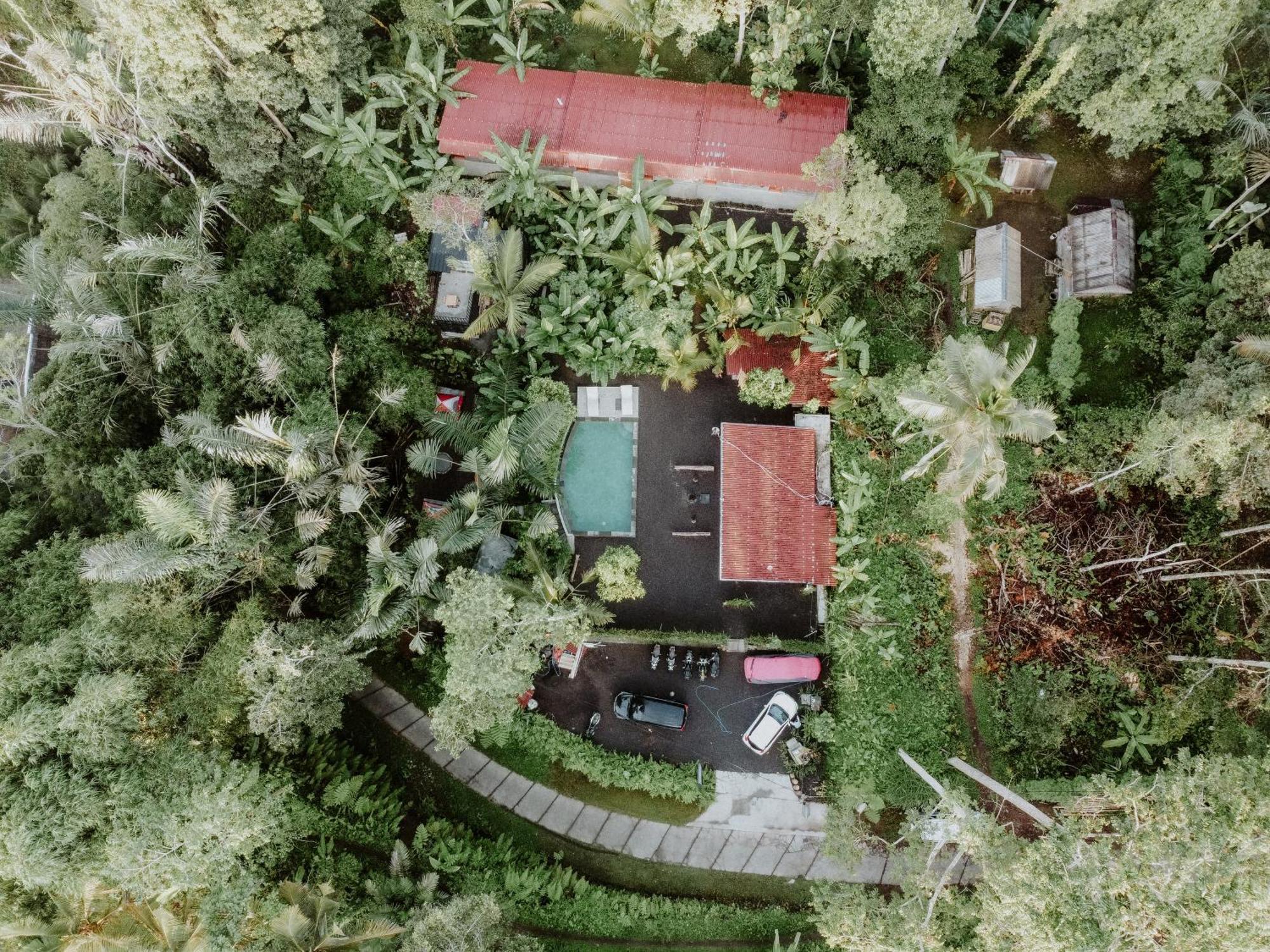 Daydream Lodge Tampaksiring Exteriör bild
